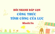 Công thức tính công của lực F lớp 10?